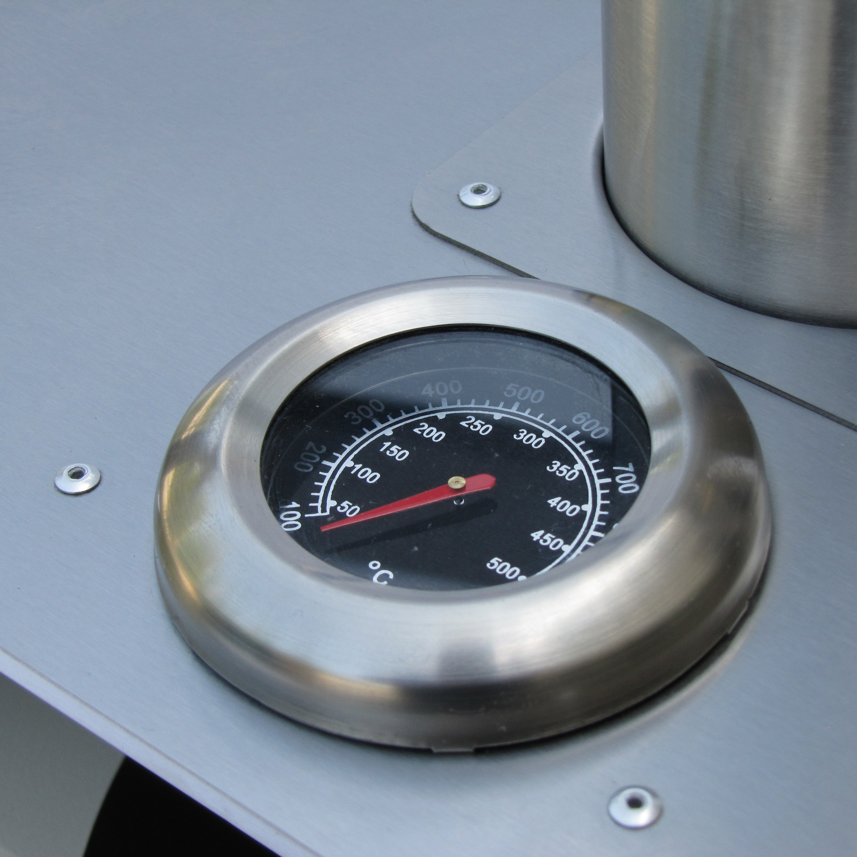 Four à pizza à granules de bois en acier inox de luxe 
